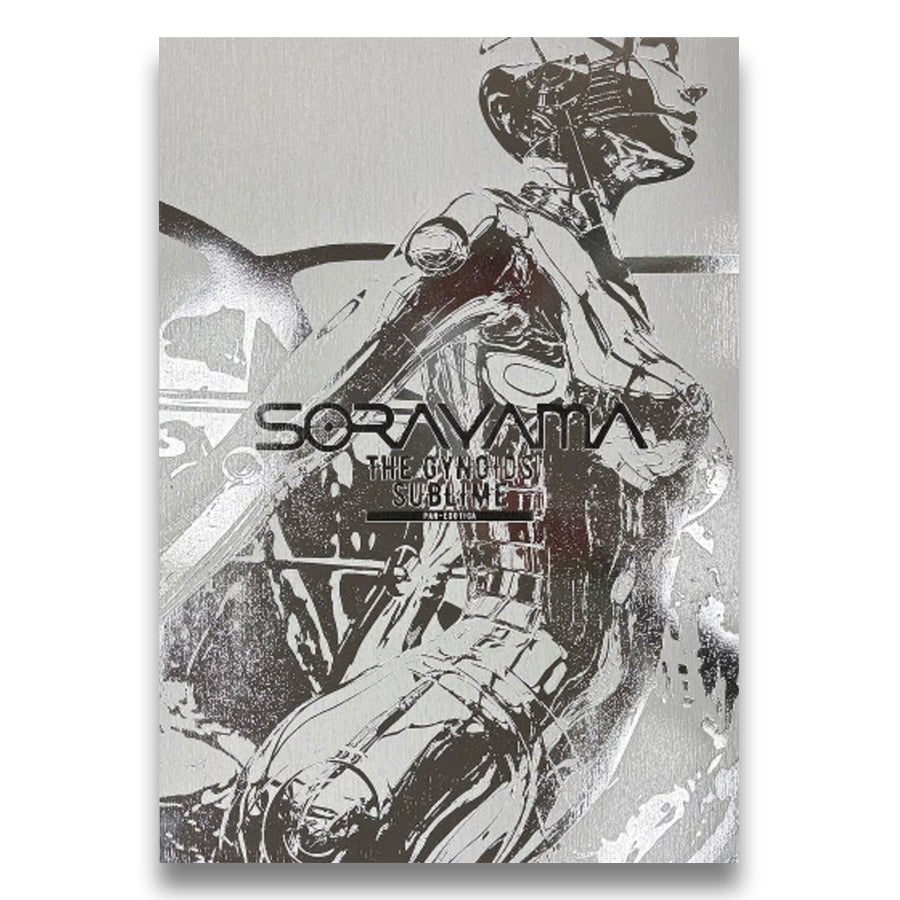 空山基　画集　3点セット　ナーガ　ガイノイド　拷問 SORAYAMA THE GYNOIDS SUBLIME