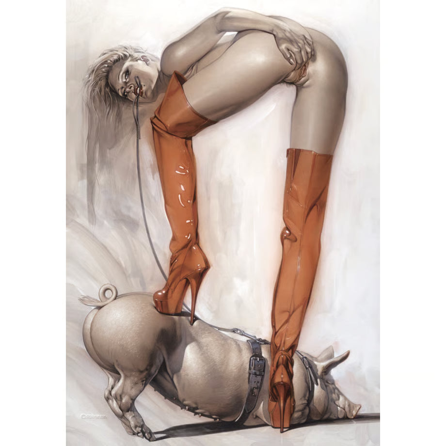 『SORAYAMA THE GYNOIDS SUBLIME X』